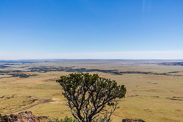 Raton-Clayton Volcanic Field