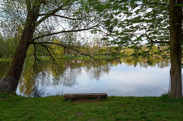 istock Bench is sitting on the grass next to a lake 2212820556