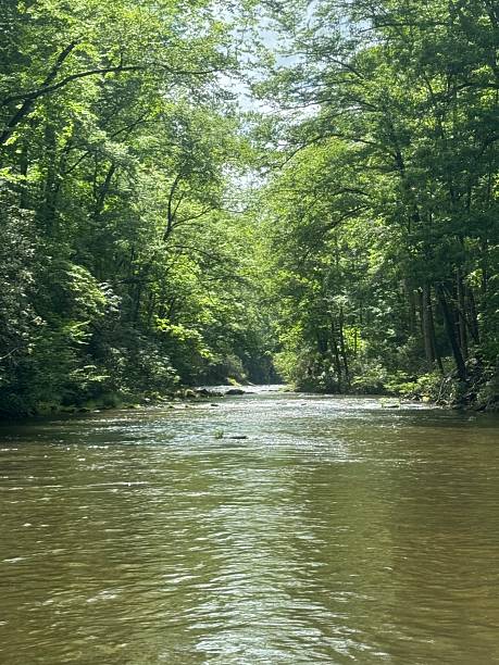 istock River in Western North Carolina 2212822685