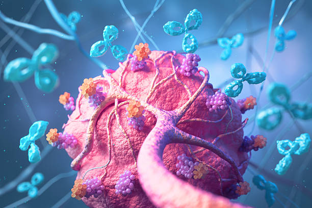 istock Antibodies attack a cancer cell or bacterium, 3d illustration. 2212827731