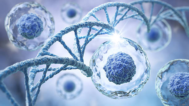istock Human cell or Embryonic stem cell with DNA Structure, 3d illustration. 2212827811