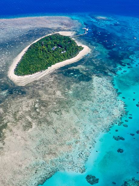 istock Green Island on the Great Barrier Reef in Australia 2212828428