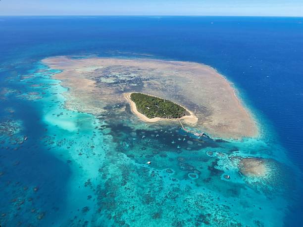 istock Green Island on the Great Barrier Reef in Australia 2212828431