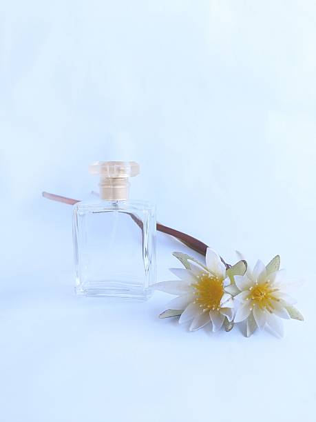 Nature morte, carafe en verre, reflets, fond rose et violet