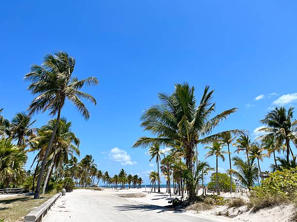 Landscape view of Crandon Park Beach, Key Biscayne, Florida