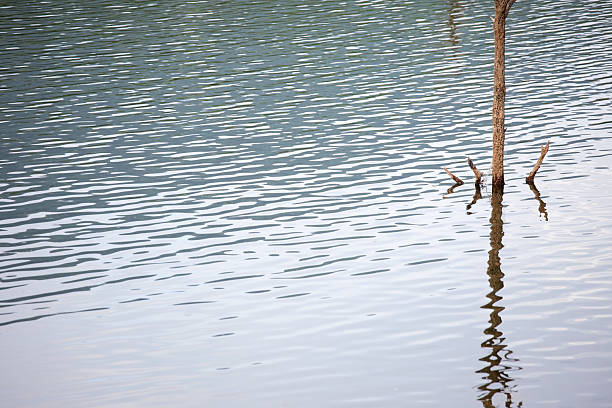 istock Calm Water Reflection with Tree Stump in Tranquil Landscape Scene 2212831835