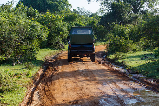 istock A green jeep is driving down a dirt road in a forest 2212832855