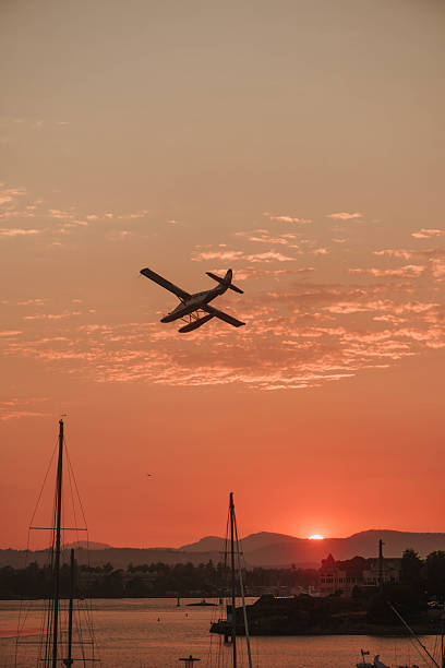 Victoria, British Columbia, Canada – A seaplane gently descends onto the calm waters of the Inner Harbour at sunset, with golden light reflecting off the surface. The warm hues of the sky and silhouettes of historic waterfront buildings create a stunning backdrop to this iconic coastal scene.