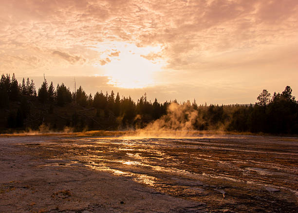 Sunset over geothermal features with steaming ground and forest backdrop in a national park
