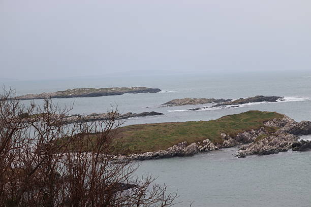 The Ring of Kerry offers some of the most breathtaking ocean views in Ireland, as it winds along the Iveragh Peninsula in County Kerry, hugging the wild Atlantic coastline. This 179 km (111 miles) scenic loop is part of the Wild Atlantic Way, and it's famous for its rugged seascapes, coastal cliffs, beaches, and panoramic ocean vistas.