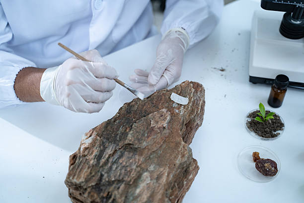 istock In the laboratory, research equipment rests on the table as scientists analyze rock samples, using advanced geology techniques to make groundbreaking discoveries in science. 2212837168