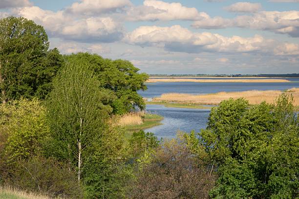 istock Ukrainian river landscape with island, reeds, and cloudy sky 2212838739