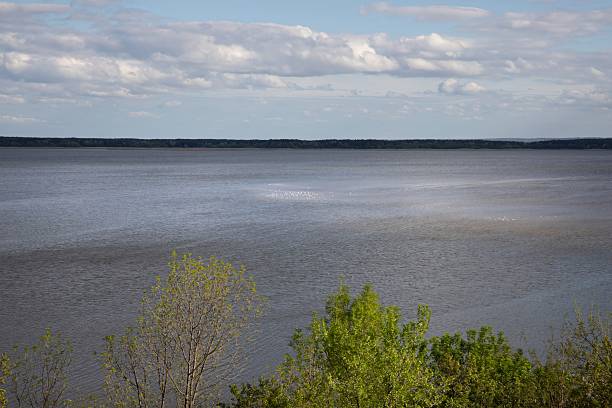 istock Ukrainian river landscape with island, reeds, and cloudy sky 2212838751