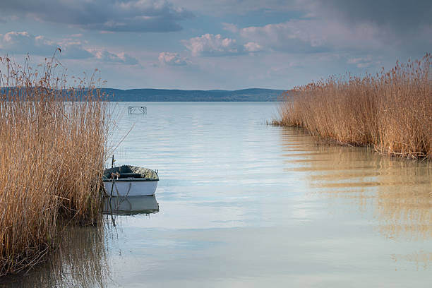 Reed beds frame both sides of the image, gently swaying in the breeze. In the center, the calm lake stretches toward the horizon under a dramatic, cloud-filled sky, with an old wooden boat resting near the reeds.