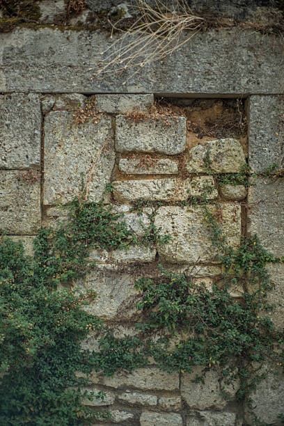 istock Background of a weathered stone wall with greenery growing on it. 2212839088