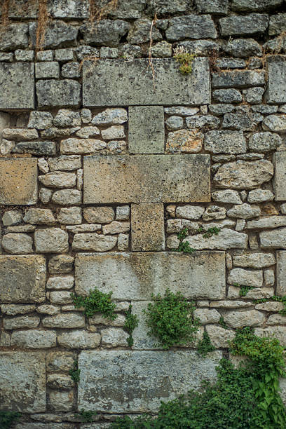 istock Background of a weathered stone wall with greenery growing on it. 2212839591