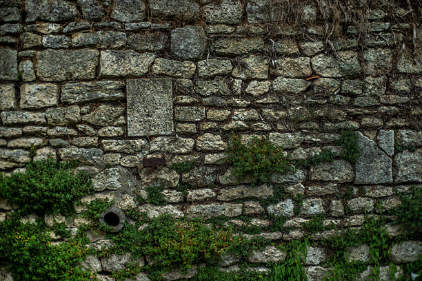 istock Background of a weathered stone wall with greenery growing on it. 2212839617