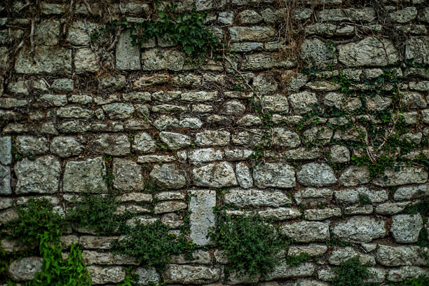 istock Background of a weathered stone wall with greenery growing on it. 2212839643