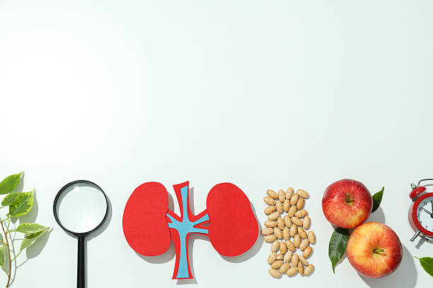 istock Kidneys on a light background, for National Kidney Month. 2212839778
