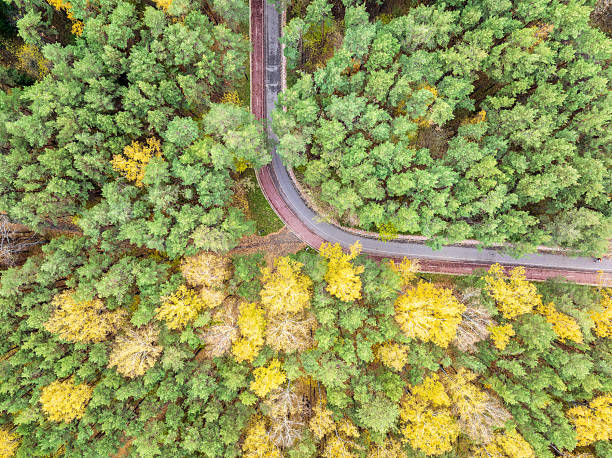 istock Aerial view of road in beautiful autumn forest at sunset. Beautiful landscape with empty rural road, trees with red and orange leaves. 2212840407