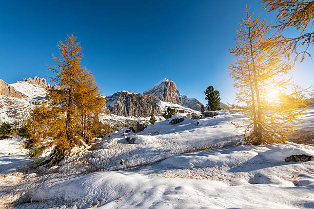 istock Landscape of early winter with still yellow trees 2212842340