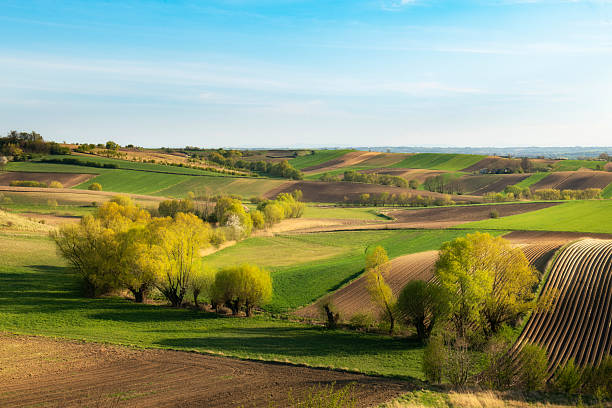 istock Beautiful spring rural landscape with plowed fields 2212842790