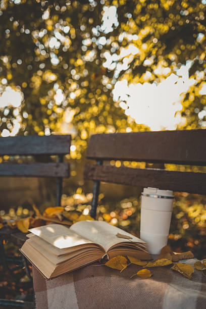 istock Open book and reusable coffee cup on a plaid blanket-covered bench in an autumn park, surrounded by fallen yellow leaves and warm afternoon light 2212844728