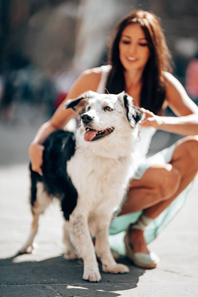 woman doing the caress to her cute dog