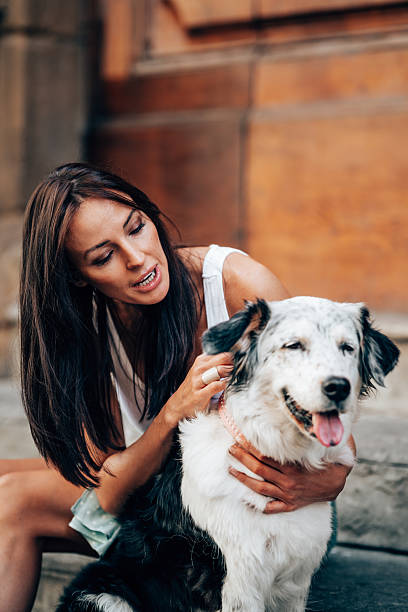 istock woman doing the caress to her cute dog 2212846167