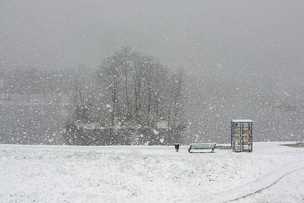Poor visibility. Minimalistic winter landscape. City park in heavy snowfall. Bookcase outdoor band an empty bench.