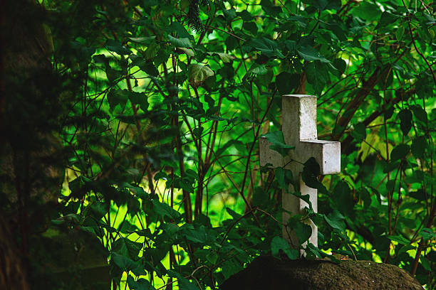 A serene and captivating image shows a white cross, partially obscured by vibrant green leaves. The scene evokes peace and tranquility, nestled within a lush, natural setting.