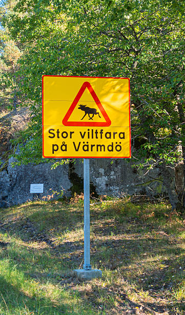 istock Moose crossing warning Sign by the road surrounded with the forrest 2212861127