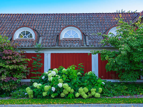 Beautiful garden for recreation