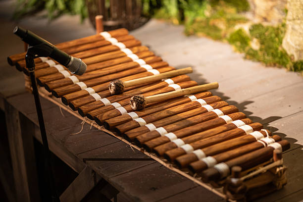 Close-up of a traditional wooden xylophone with bamboo mallets placed on top, ready for a performance. A microphone stands beside it, capturing the rustic beauty of the instrument