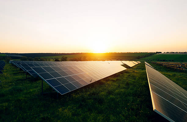 istock Alternative power source to saving environment.Solar panels park generating green energy electric at sunset.Green energy reduce carbon emissions and makes earth cleaner and more ecological. 2212867042