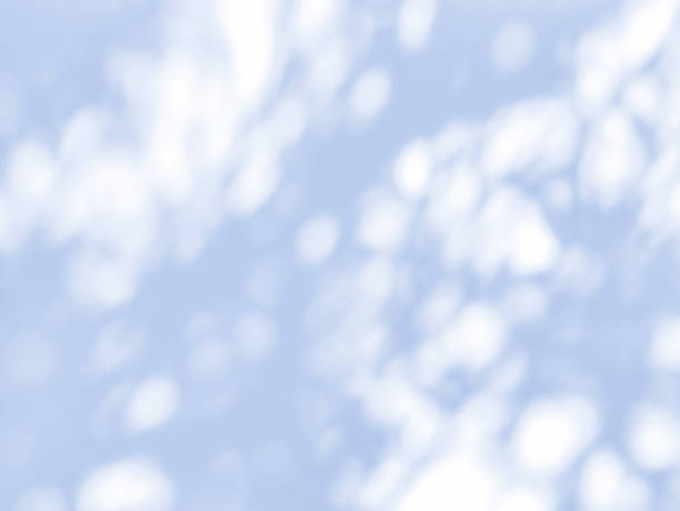 istock Blue shadow of leaves tree plant on white wall. 2212876643