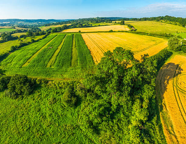 istock Golden crop fields idyllic rural patchwork pasture landscape aerial panorama 2212876913