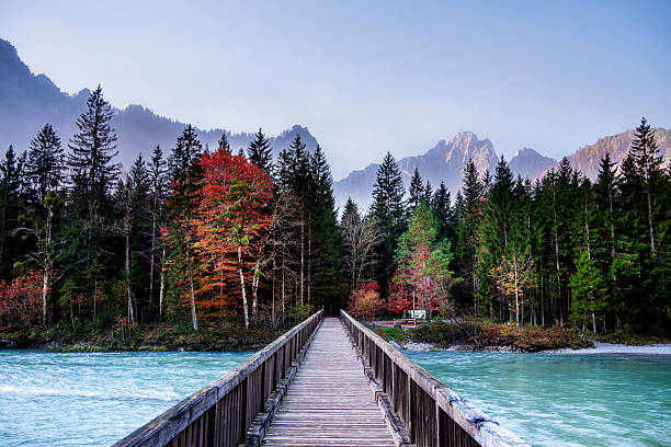 istock Gesause National Park, Austria 2212876925