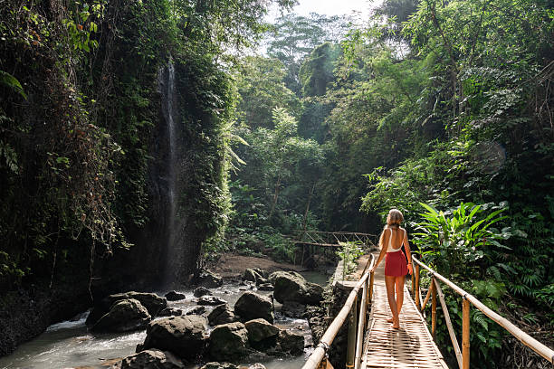istock Tourist walking on bamboo bridge towards waterfall in lush tropical forest 2212881459