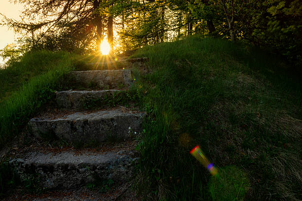 istock Stone steps leading upward through lush green grass with golden sun rays shining through. Natural peaceful landscape 2212882339