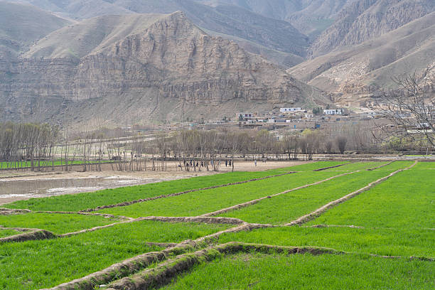 Kunduz-Kabul highway, Afghanistan, 03.13.2025 farm fields