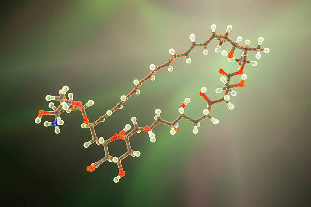 Amphotericin B antifungal drug molecule. Chemical formula is C47H73NO17. Atoms are represented as spheres: carbon (grey), hydrogen (light yellow), nitrogen (blue), oxygen (red). Illustration.