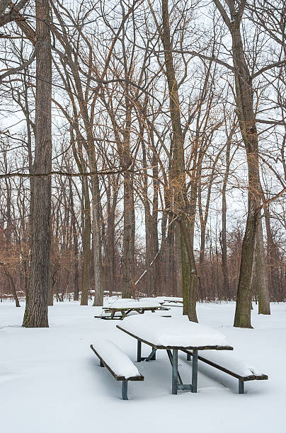 istock Winter at Presque Isle State Park 2212887521