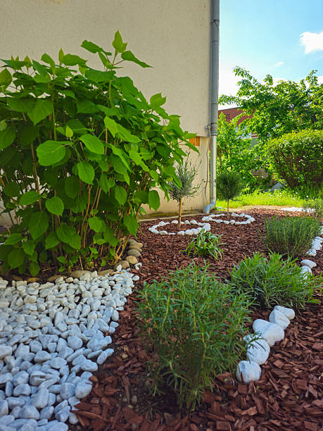 istock Flowerbed near the yellow wall 2212891088