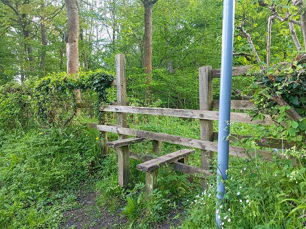 istock Rustic Wooden Stile in Scenic Woodland Setting Surrounded by Lush Greenery 2212899227