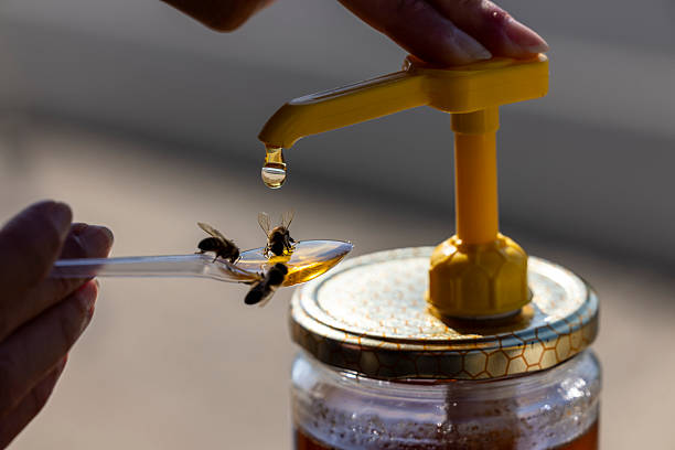 istock Three bees enjoying fresh golden honey. Horizontal close-up. 2212904258