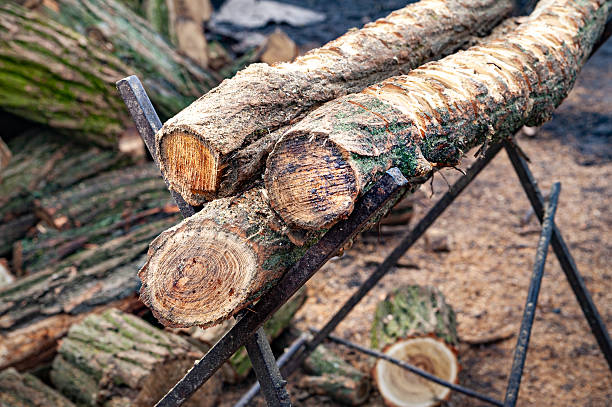 Sawn old logs. Stack of logs in a lumber mill. Stack of firewood. Logs for the fireplace. Harvesting wood. Forest for the winter. Background of firewood