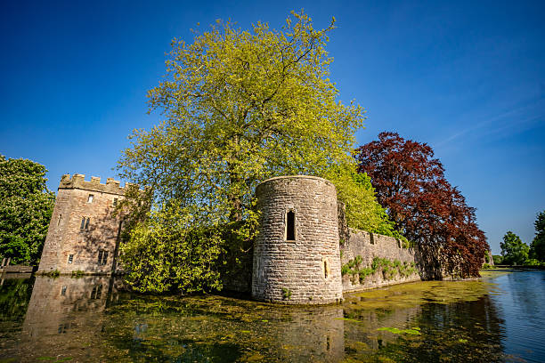 Kent, UK - September 9th 2023: Swans sunbathing by the lake at the historic Leeds Castle in Kent, UK.