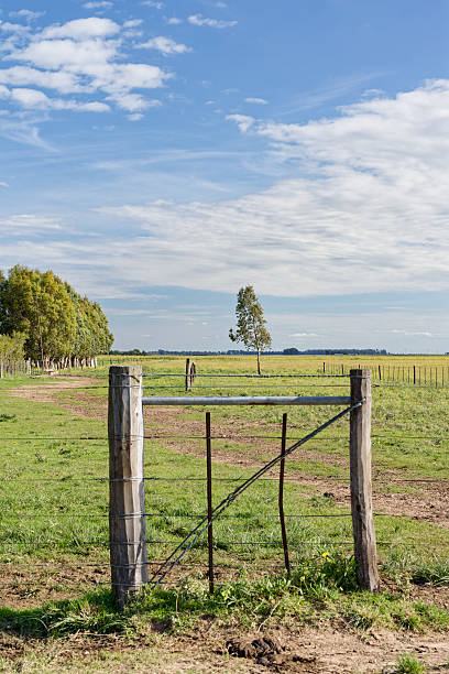 istock Wire fence opening into lush green fields under blue sky. Vertical 2212911827