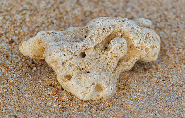 istock A small white rock is laying on the sand 2212913791